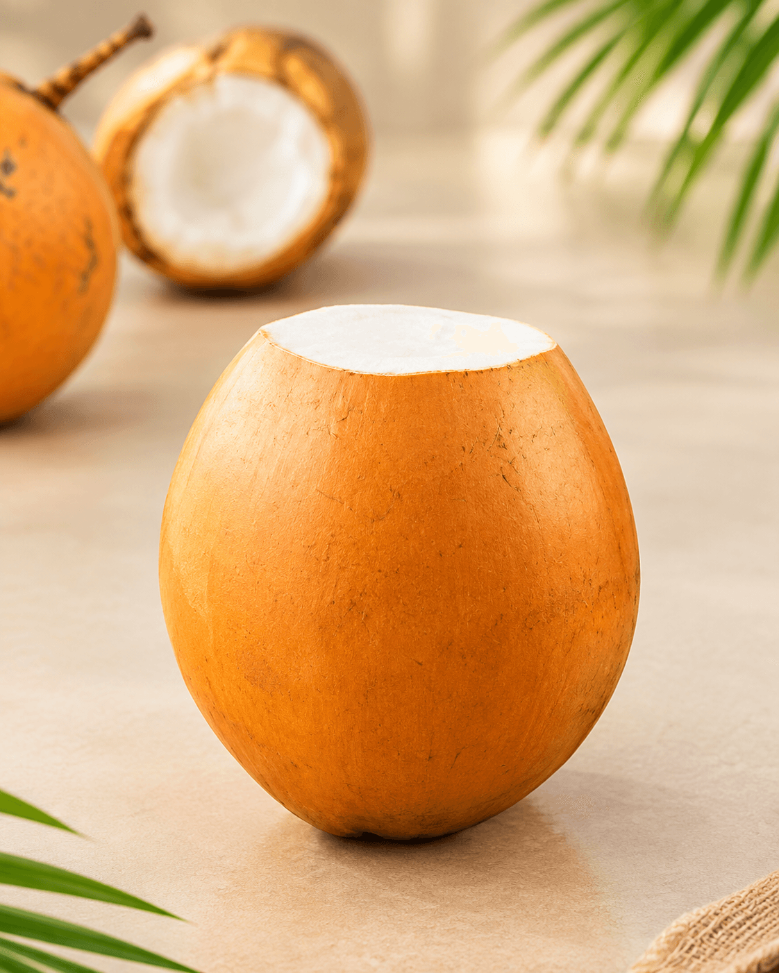 Orange Tender Coconut — image 2
