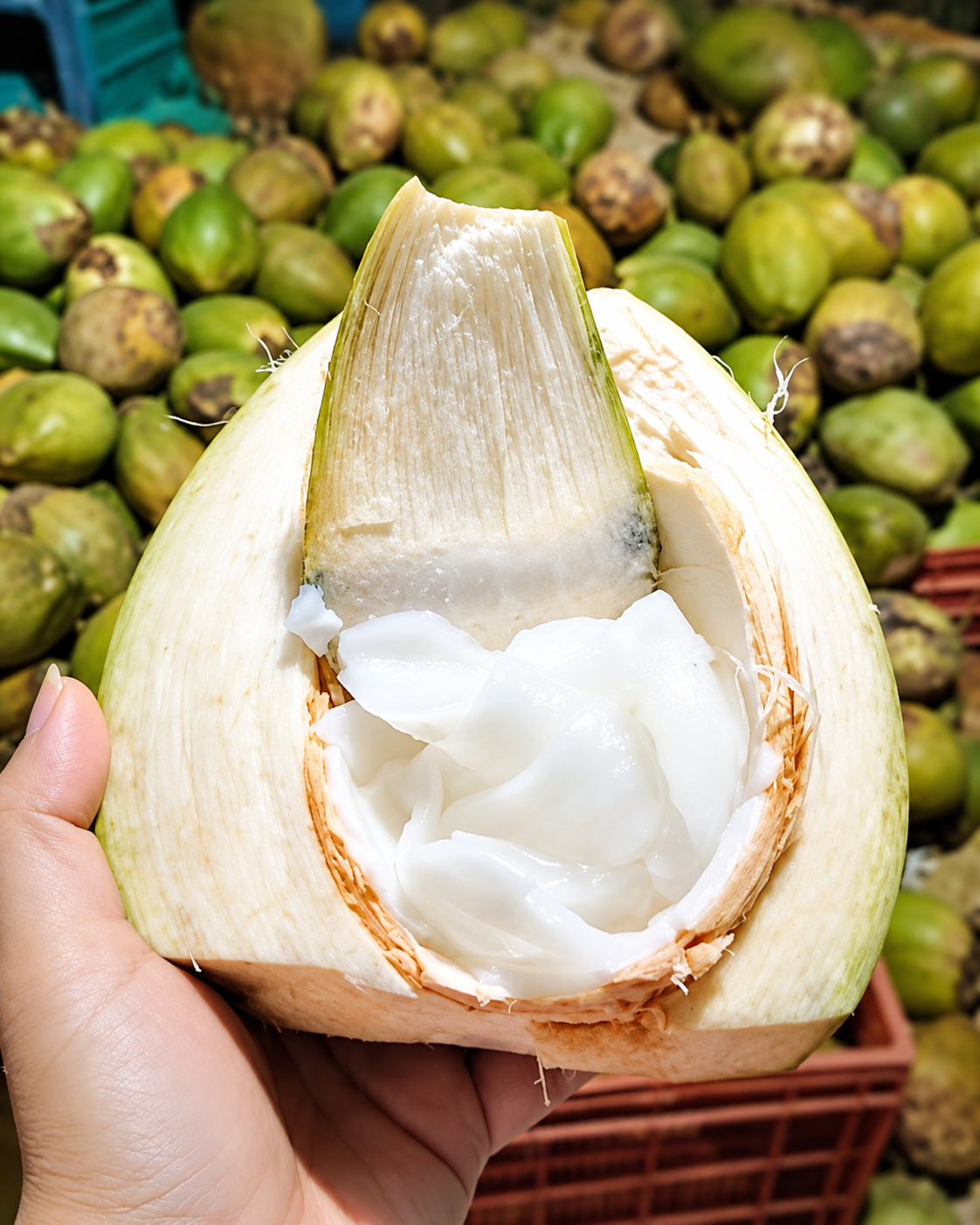 Green Tender Coconut — image 2